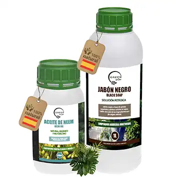 Jabón potásico + Aceite de Neem (kit preventivo de plagas