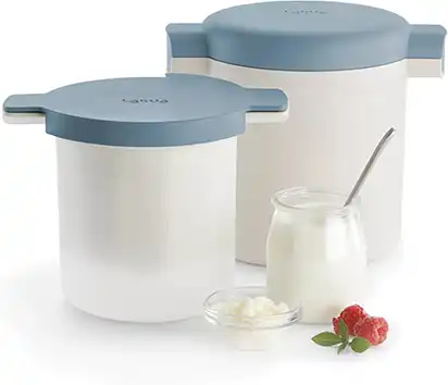 Yogurtera Fermentadora casera