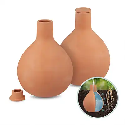 Olla de autoriego