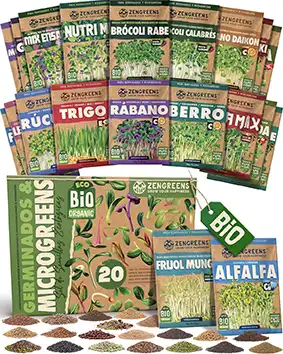 variedad semillas ecológicas